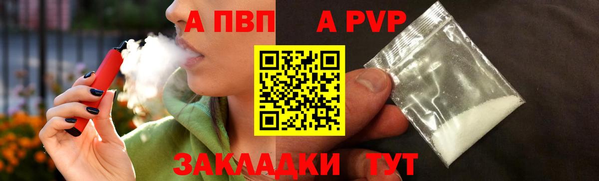Alfa_PVP СК Моршанск