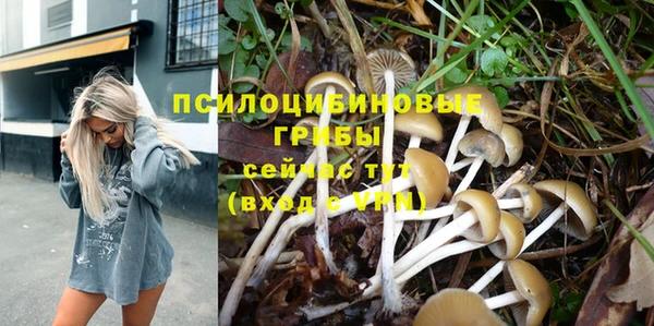 таблы Корсаков