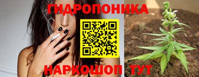 стаф Бузулук