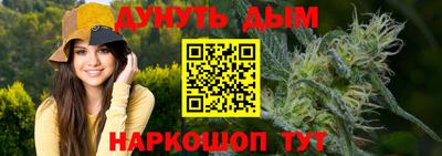 a pvp Славгород