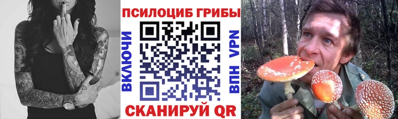 сколько стоит  Моршанск  Галлюциногенные грибы ЛСД 