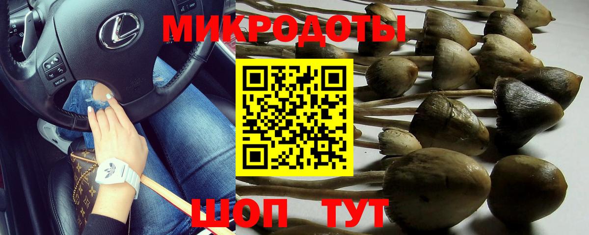Галлюциногенные грибы Psilocybine cubensis Моршанск