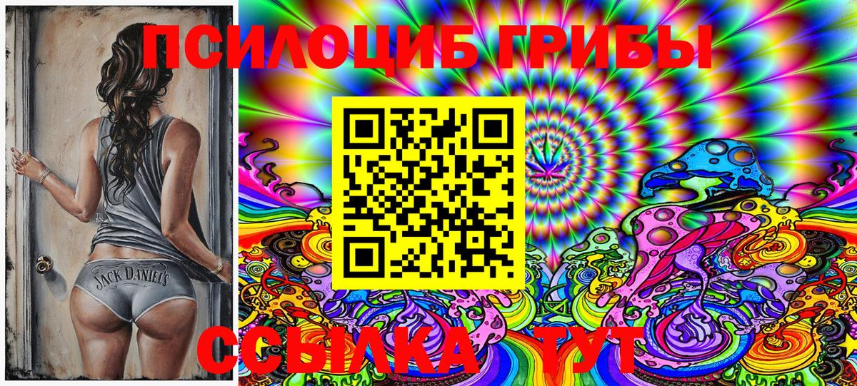 Галлюциногенные грибы Psilocybine cubensis  Моршанск  Псилоцибиновые грибы Magic Shrooms 