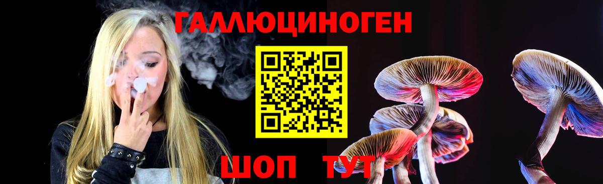 Псилоцибиновые грибы прущие грибы Моршанск